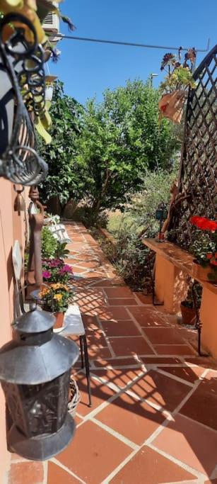 Nice And Cosy Flat In Olbia